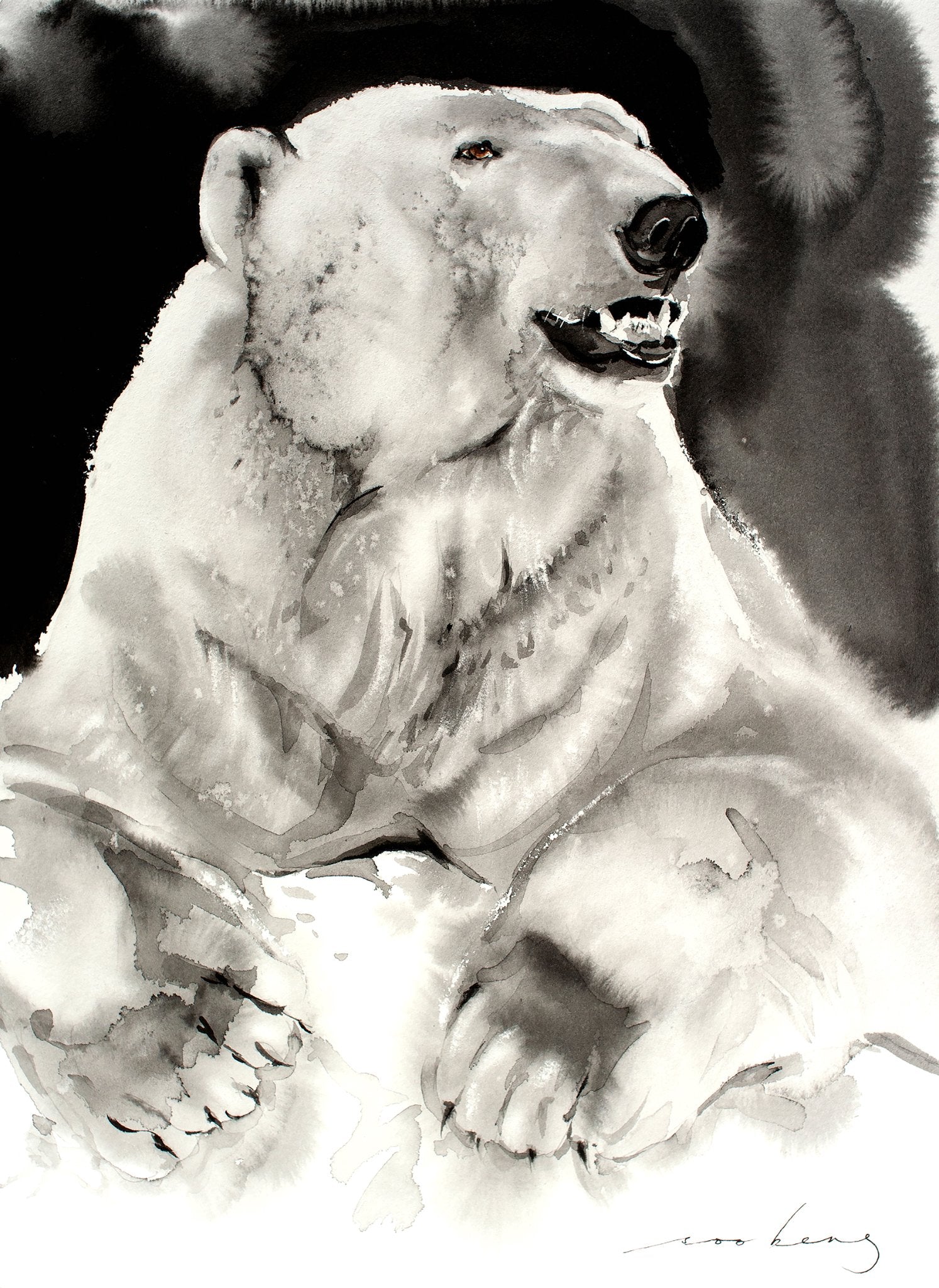 69164a62e1b8ea140711df10_ice-bear3_1774910046401.jpg