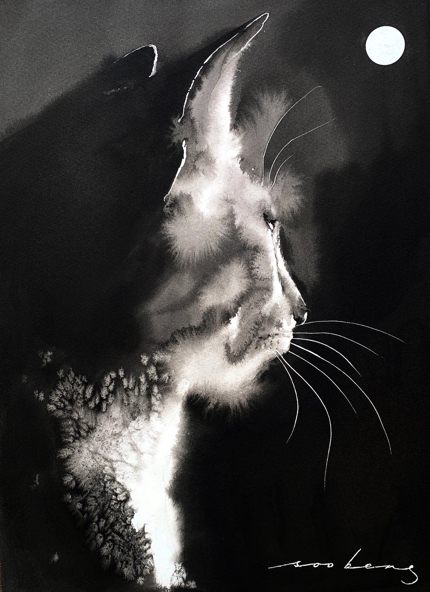 69164a62e1b8ea140711df10_illuminated-feline-copy_1773266454265.jpg