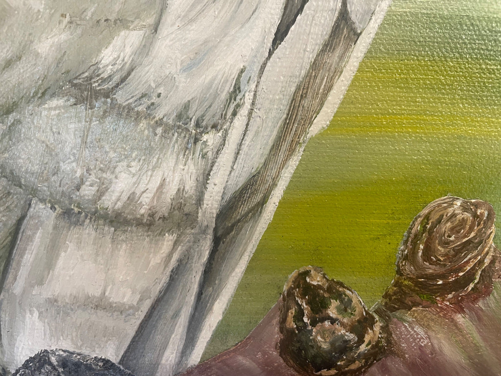 69164a62e1b8ea140711df10_img-1297_1785288678771.jpeg