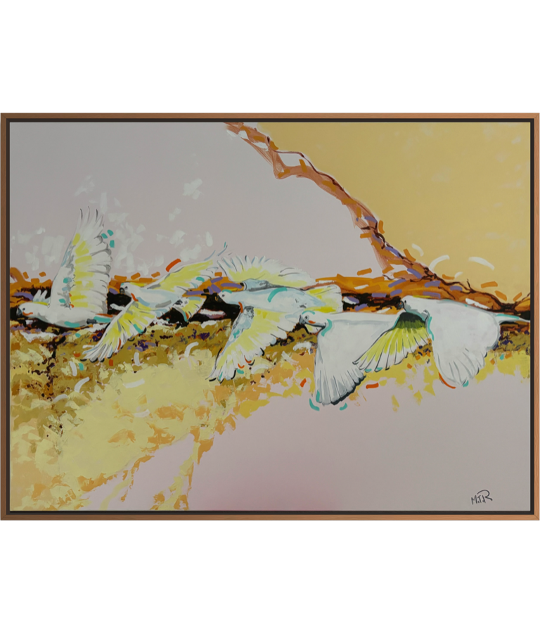 69164a62e1b8ea140711df10_img-2827_1781951609382.png