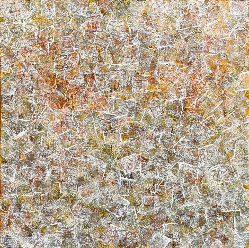69164a62e1b8ea140711df10_img-2934_1781944741149.jpeg