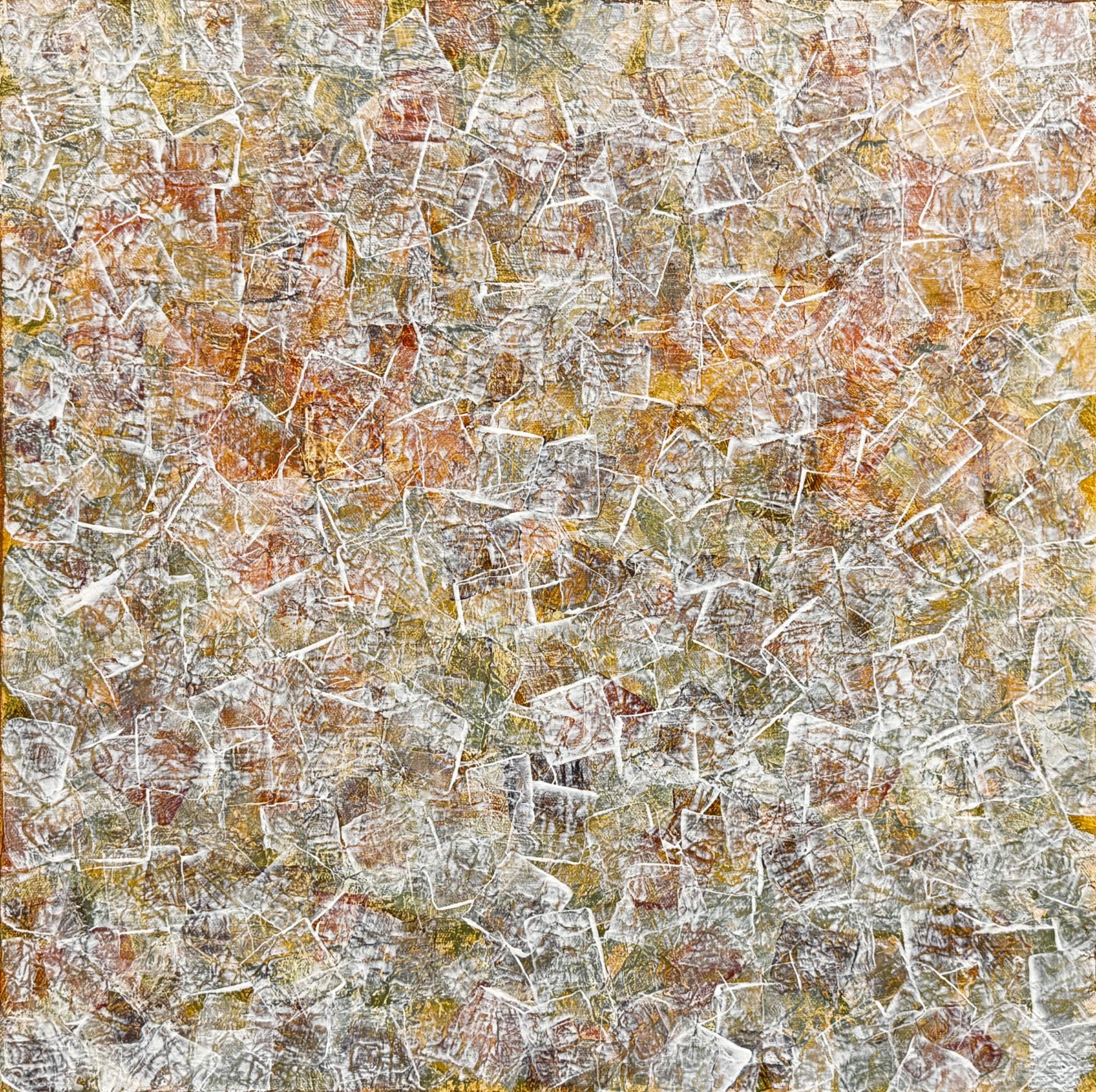 69164a62e1b8ea140711df10_img-2934_1781944741149.jpeg
