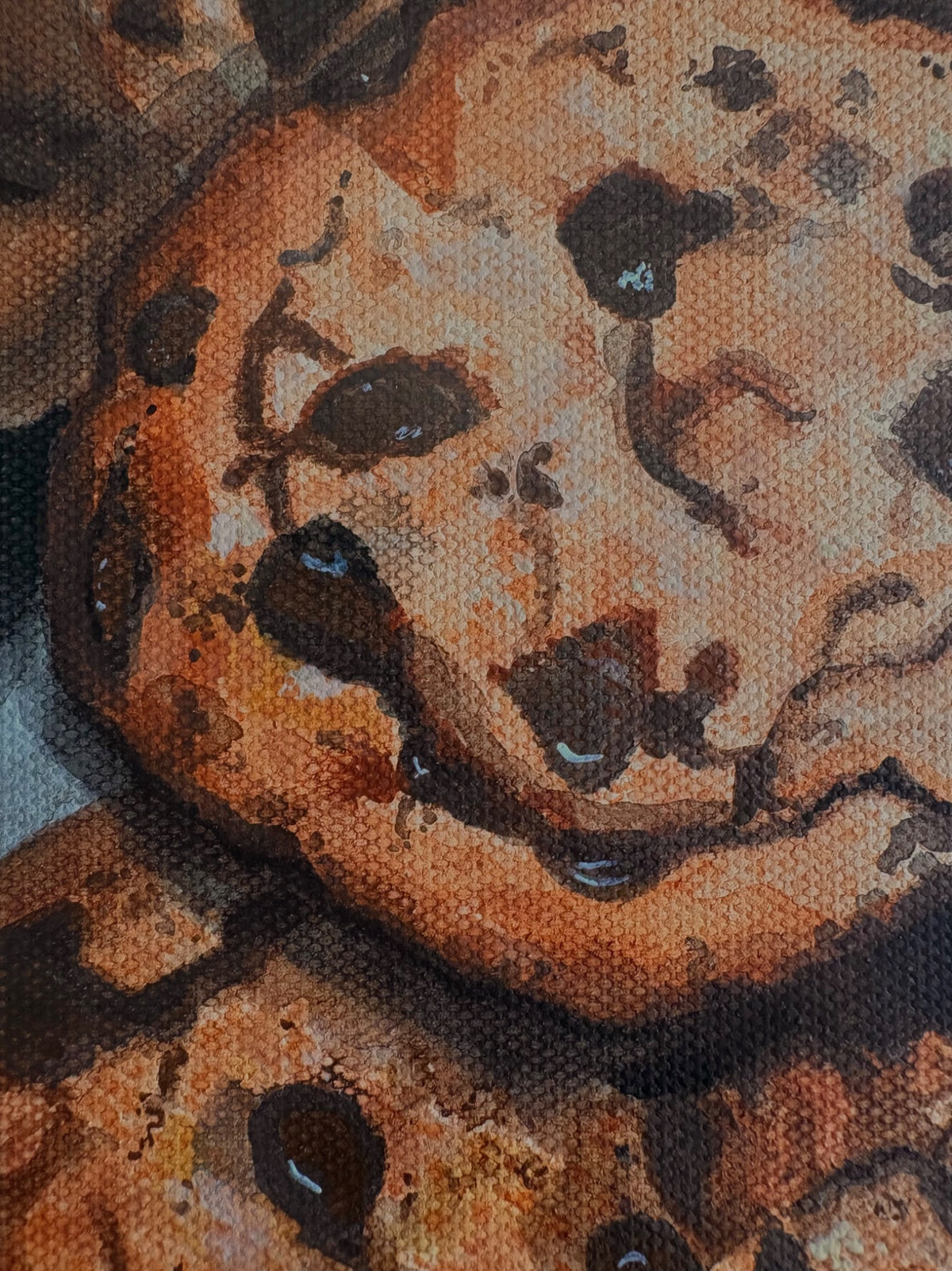 69164a62e1b8ea140711df10_img-3225_1790503995672.jpeg
