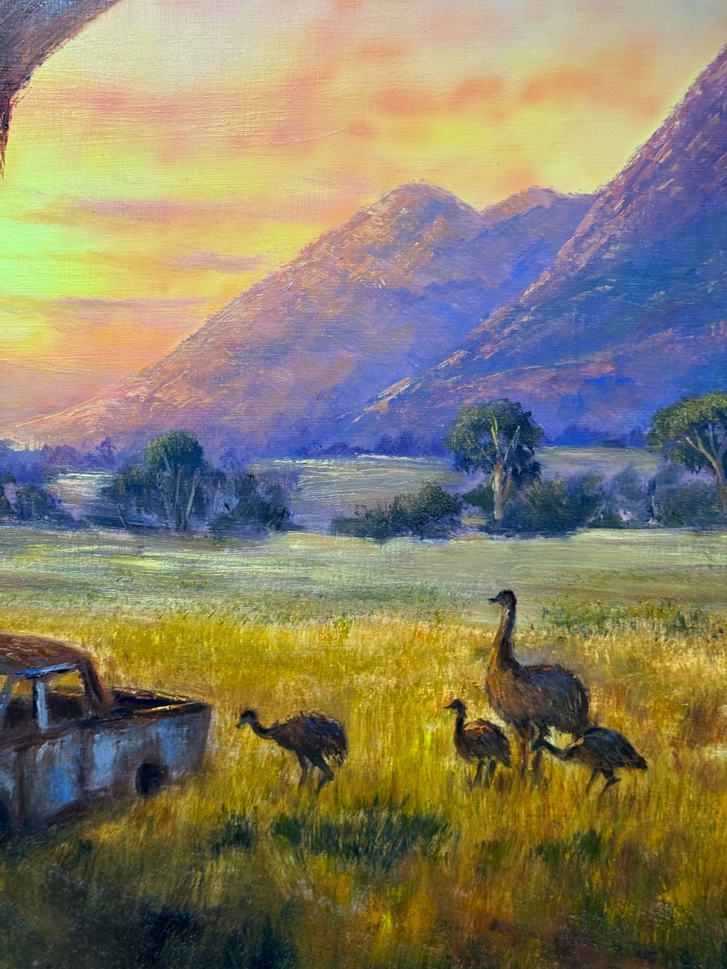 69164a62e1b8ea140711df10_img-4139_1785027844349.jpg