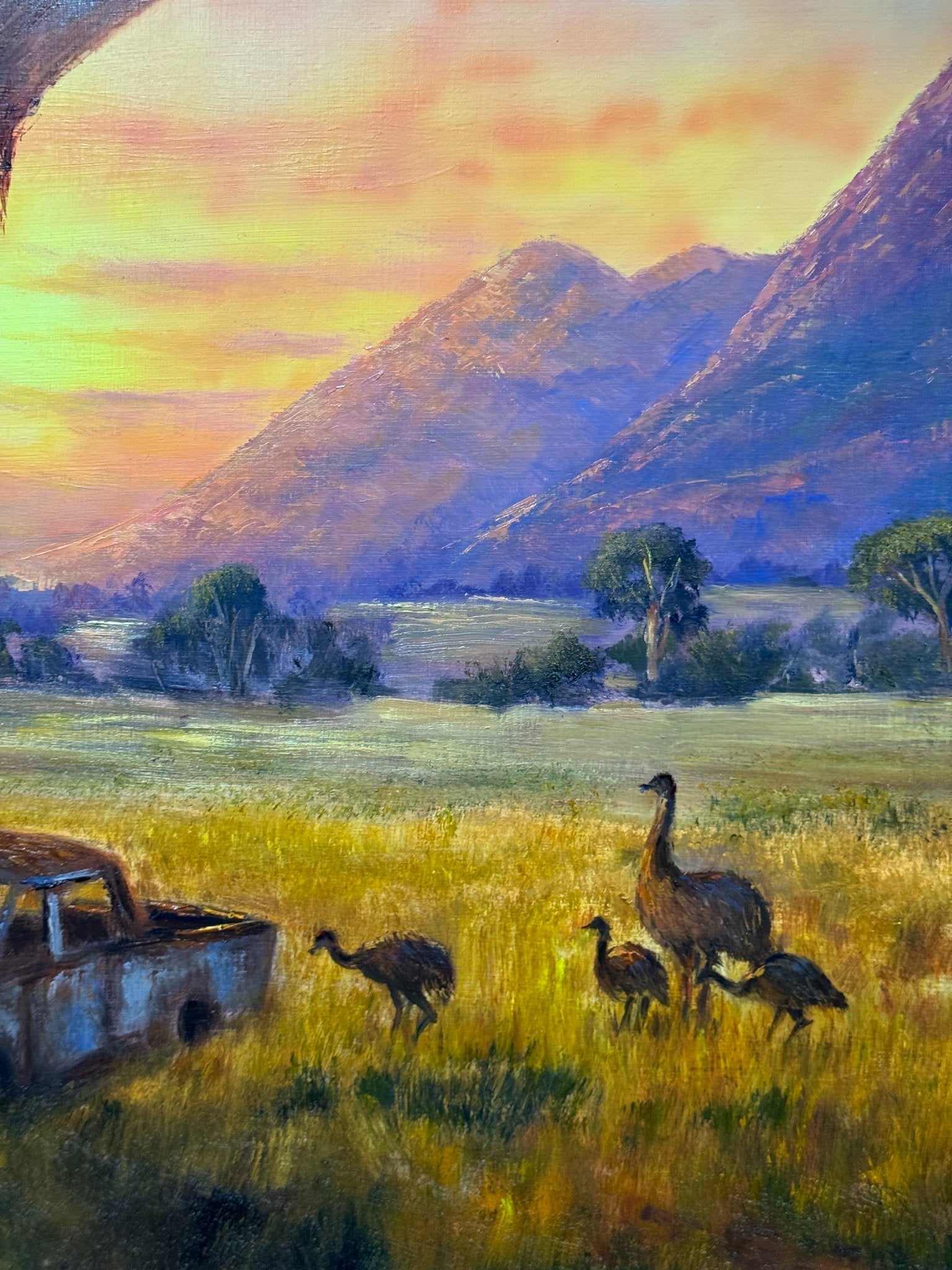 69164a62e1b8ea140711df10_img-4139_1785027844349.jpg