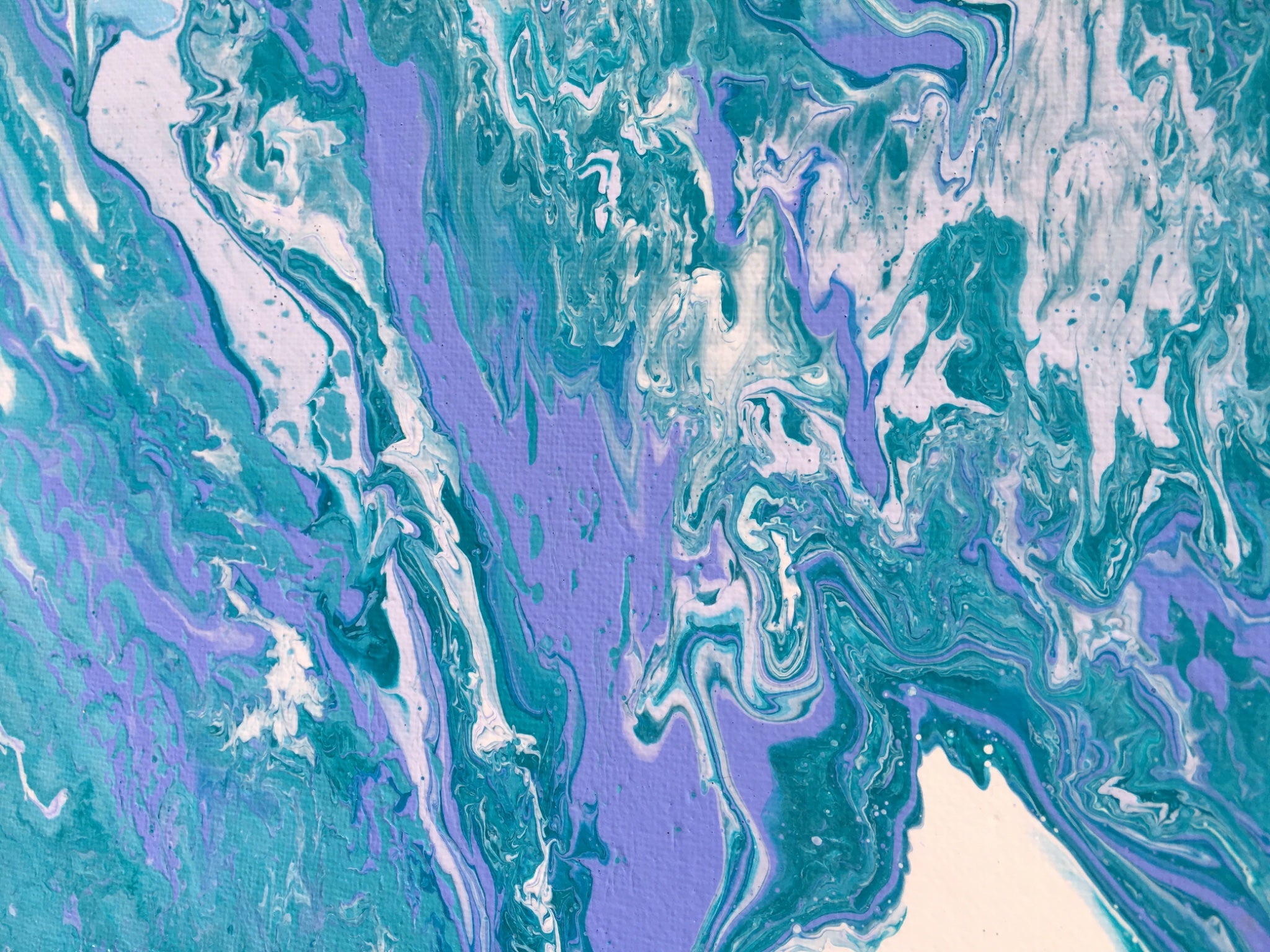 69164a62e1b8ea140711df10_img-6246_1785483124096.jpg