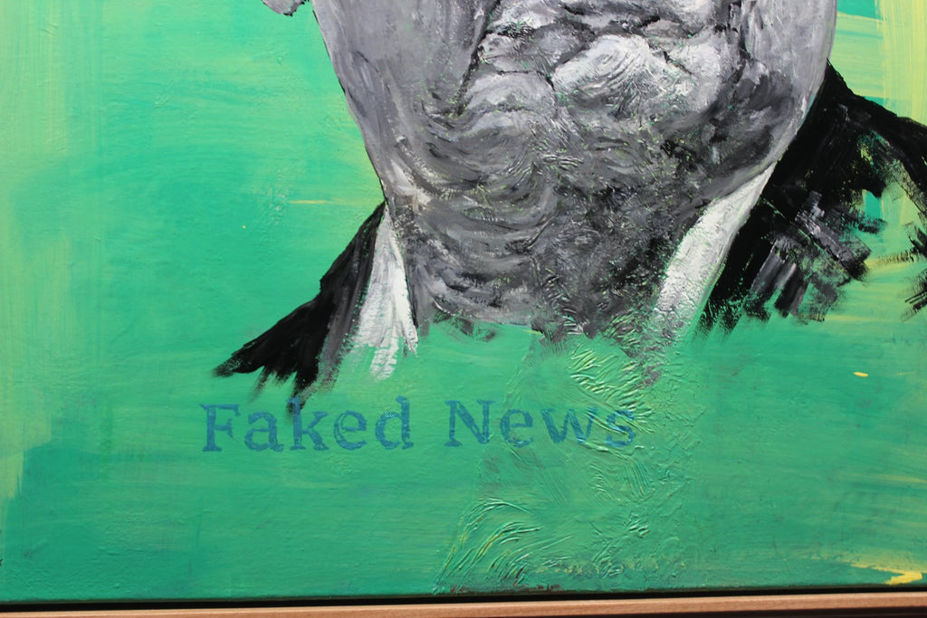 69164a62e1b8ea140711df10_img-8836_1780271923294.jpg