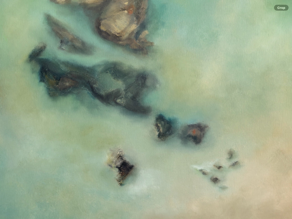 69164a62e1b8ea140711df10_in-the-shallows-final-2_1786158481488.jpg