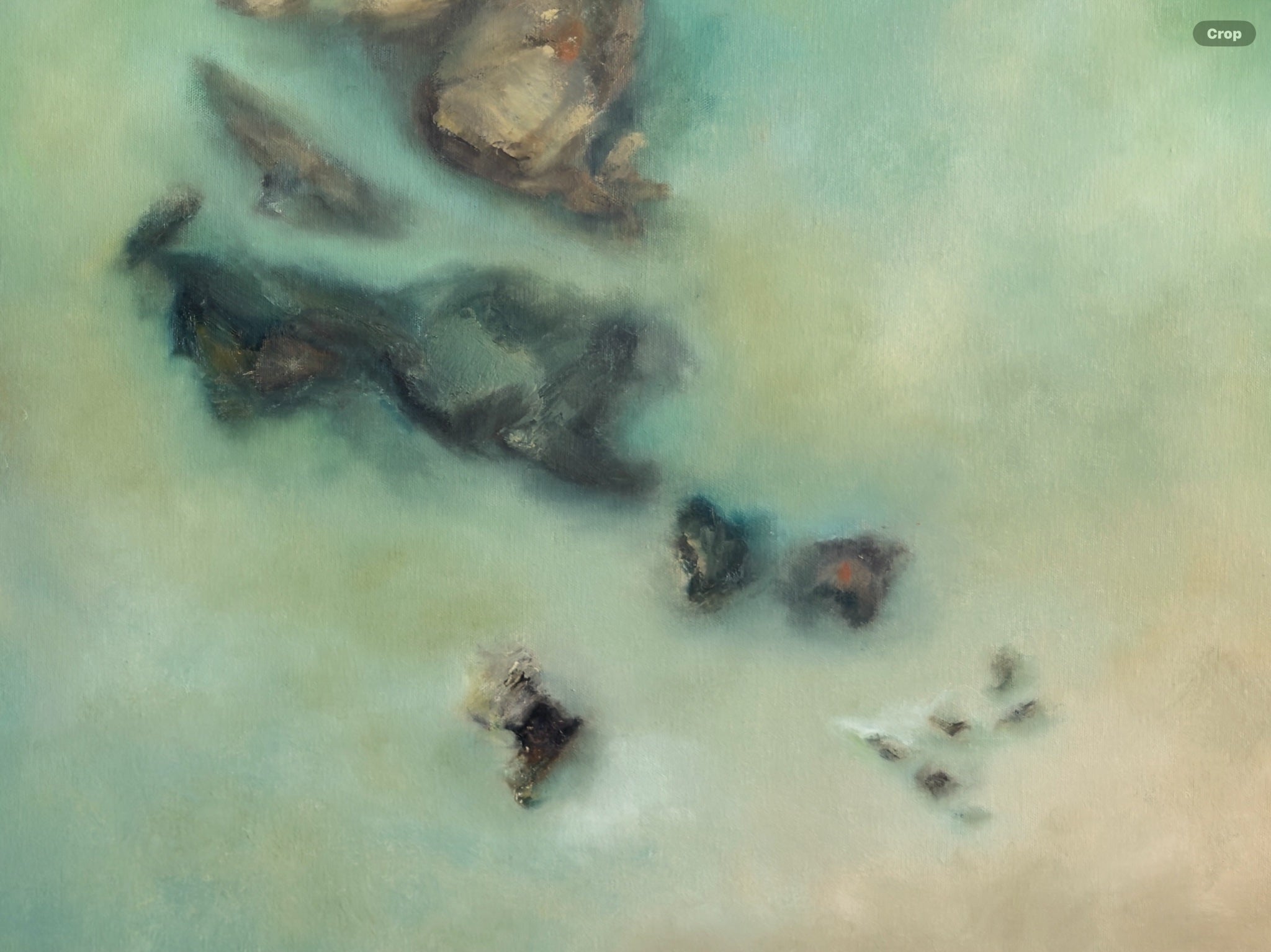 69164a62e1b8ea140711df10_in-the-shallows-final-2_1786158481488.jpg