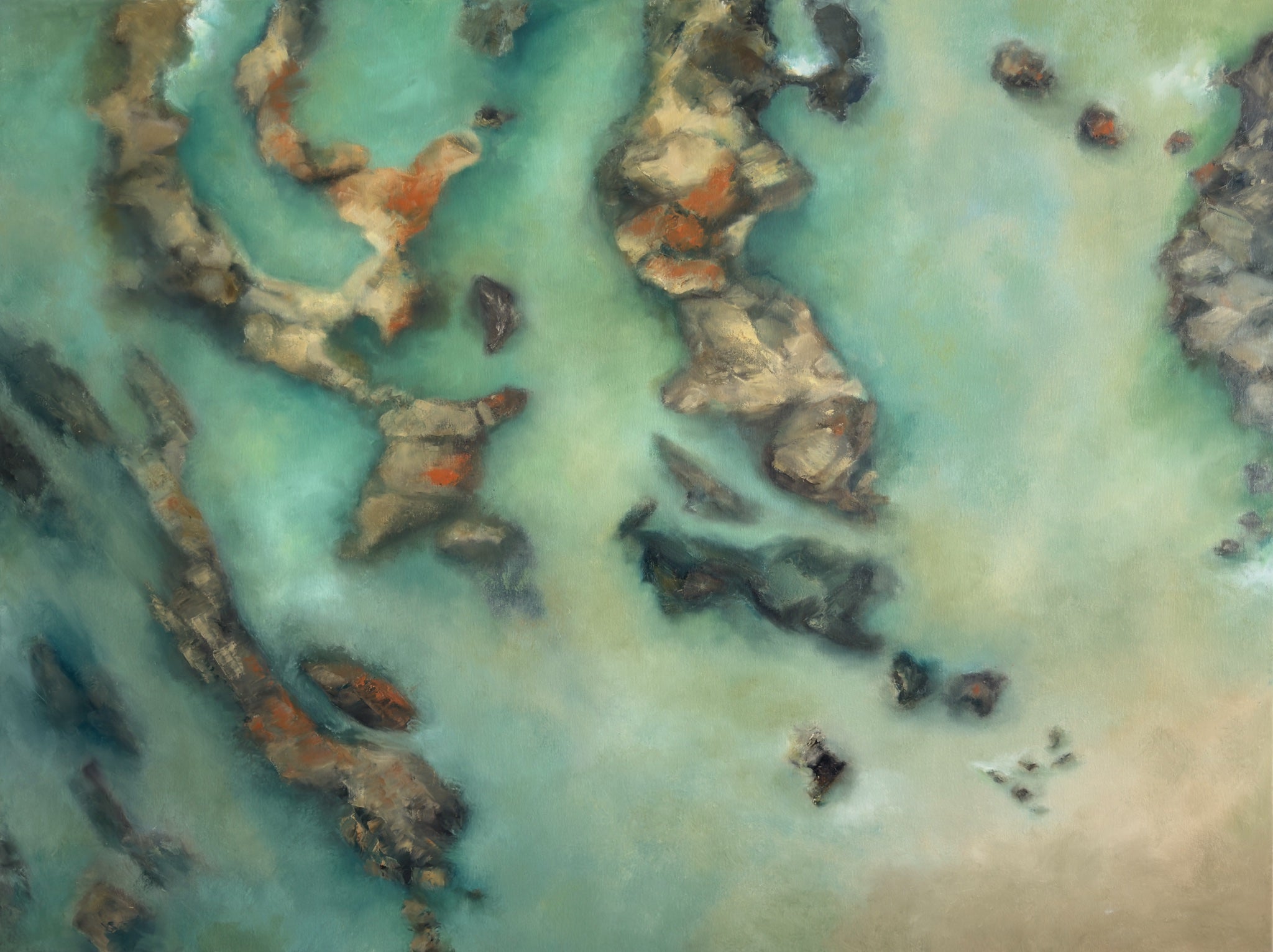 69164a62e1b8ea140711df10_in-the-shallows-final-7_1786158481489.jpg