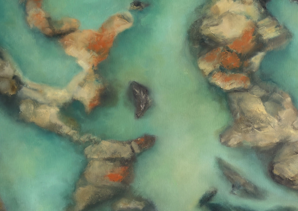 69164a62e1b8ea140711df10_in-the-shallows-final_1786158481489.jpg