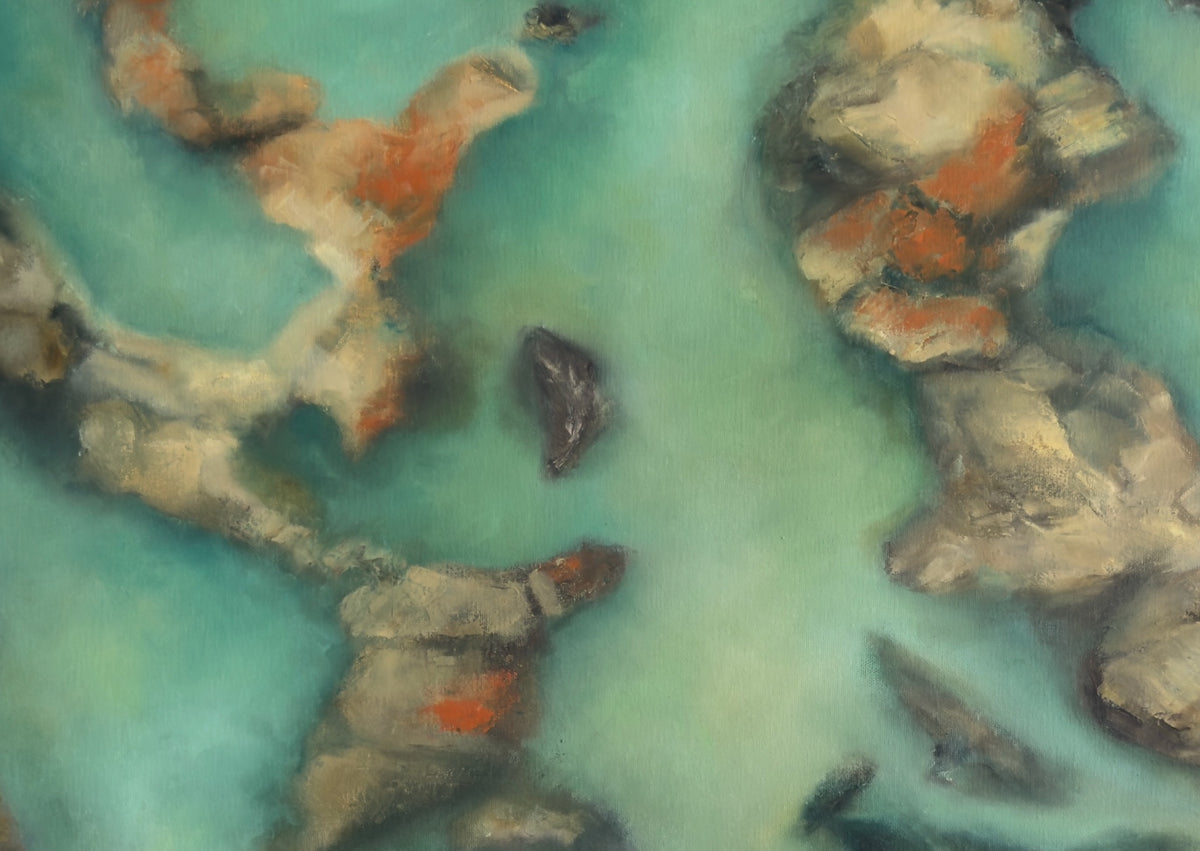 69164a62e1b8ea140711df10_in-the-shallows-final_1786158481489.jpg