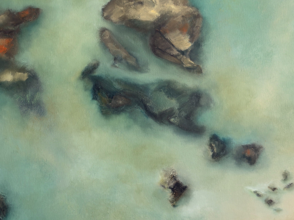 69164a62e1b8ea140711df10_in-the-shallows2_1785996146869.jpg