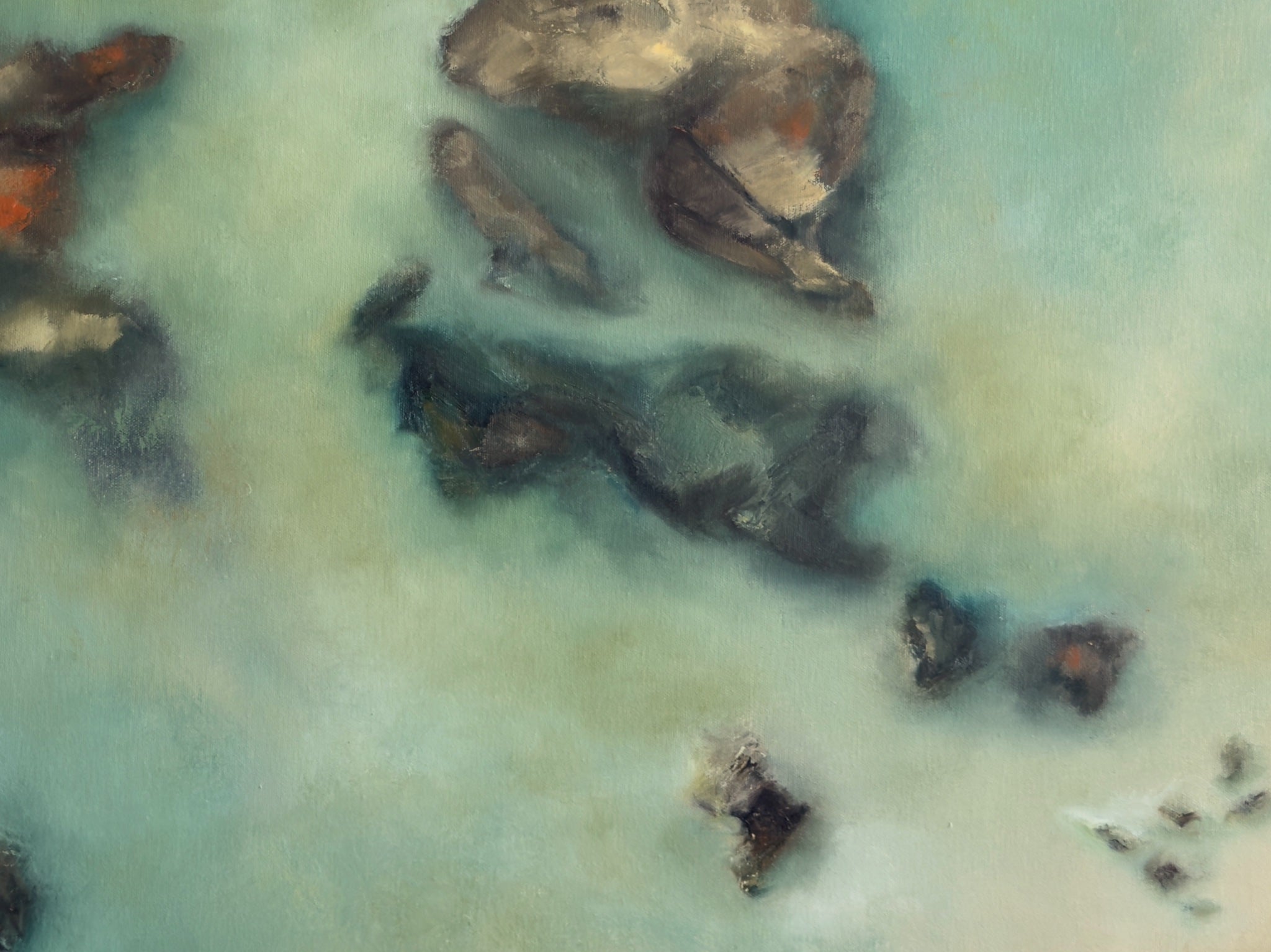 69164a62e1b8ea140711df10_in-the-shallows2_1785996146869.jpg