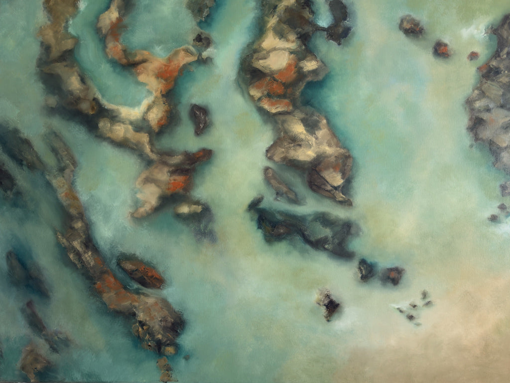 69164a62e1b8ea140711df10_in-the-shallows7_1785996146869.jpg