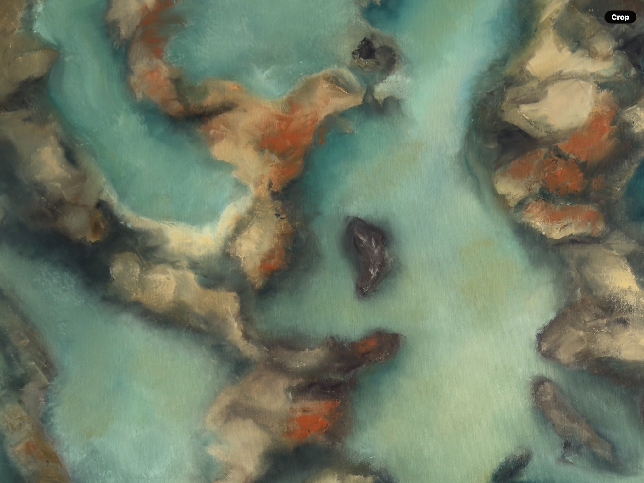 69164a62e1b8ea140711df10_in-the-shallows_1785996146868.jpg