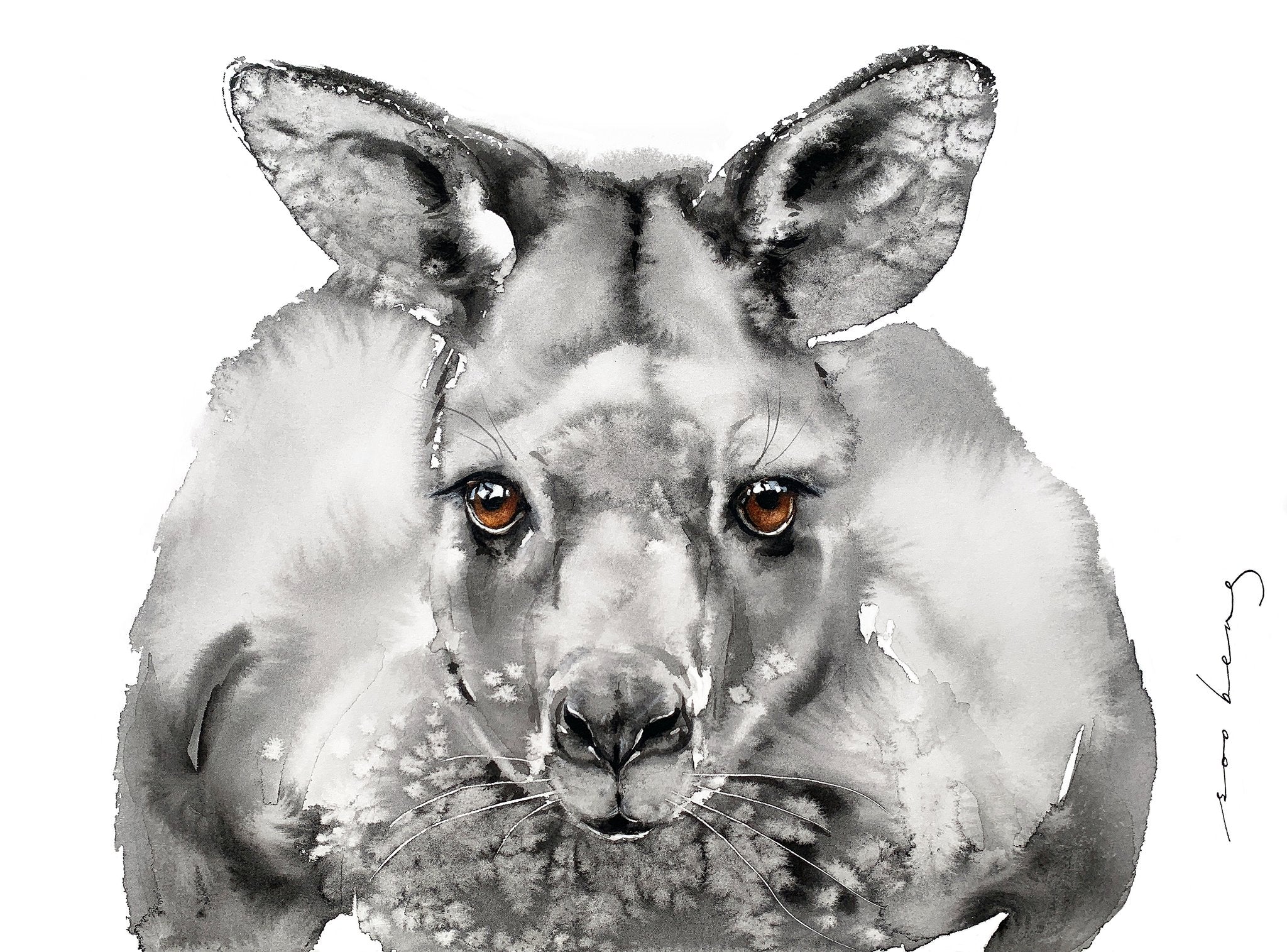 69164a62e1b8ea140711df10_inquisitive-roo_1773180960638.jpg