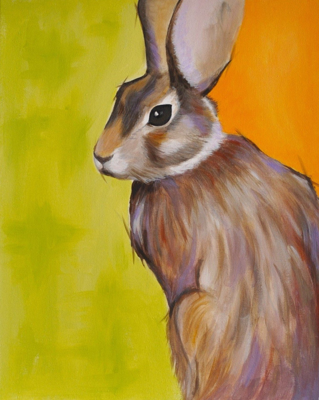 69164a62e1b8ea140711df10_irish-hare-1mb_1773557277509.jpg