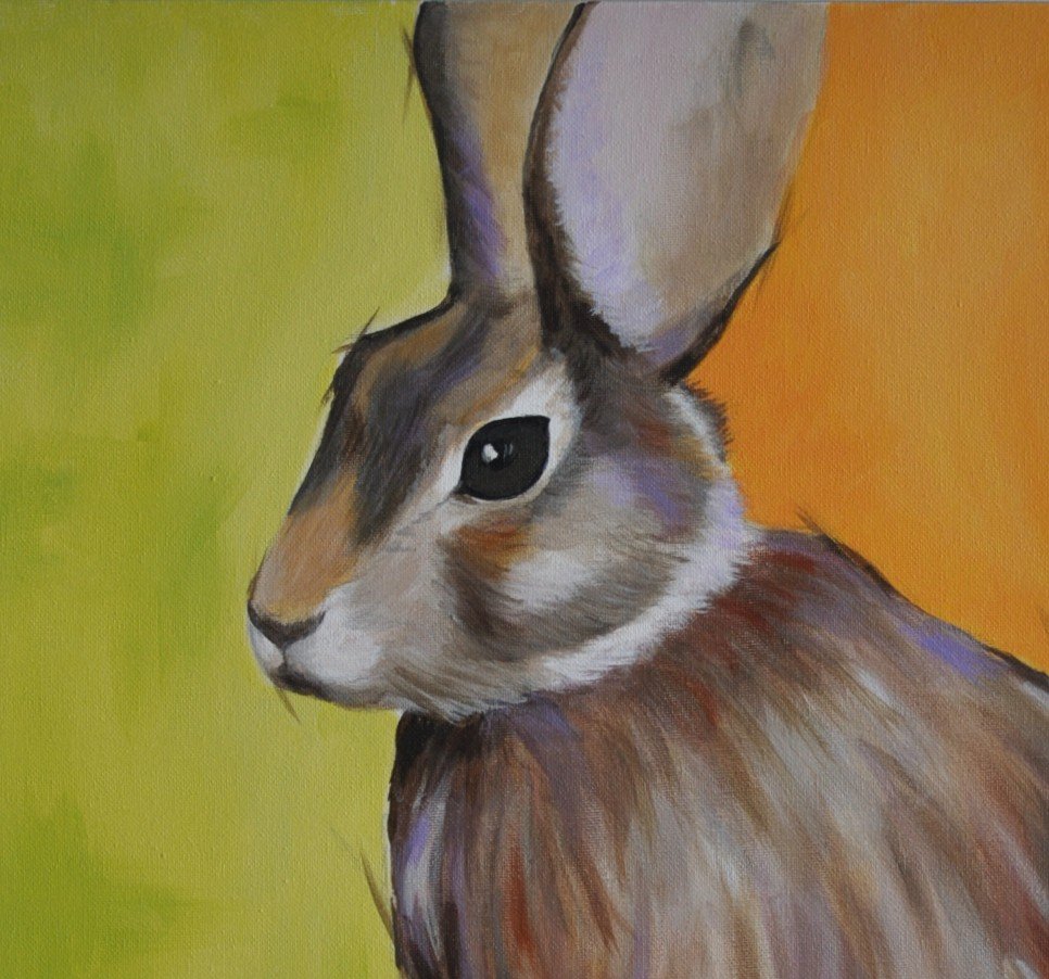 69164a62e1b8ea140711df10_irishhare5_1773557291375.jpg