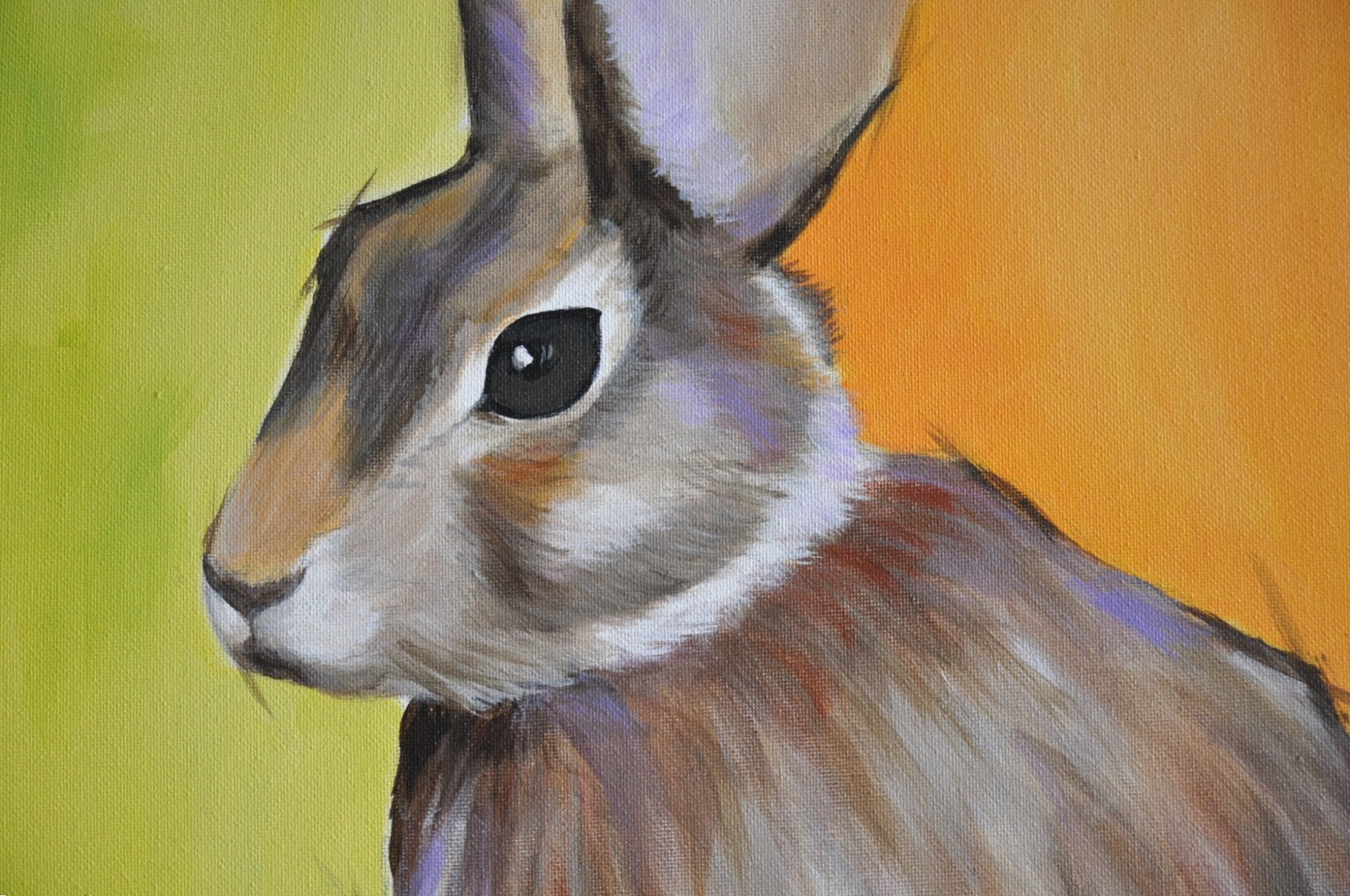 69164a62e1b8ea140711df10_irishhare7_1773557304226.jpg