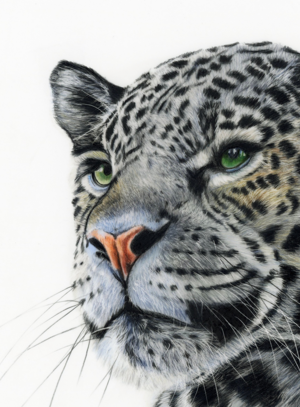 69164a62e1b8ea140711df10_jaguar-scanned-close-up_1768858926191.png