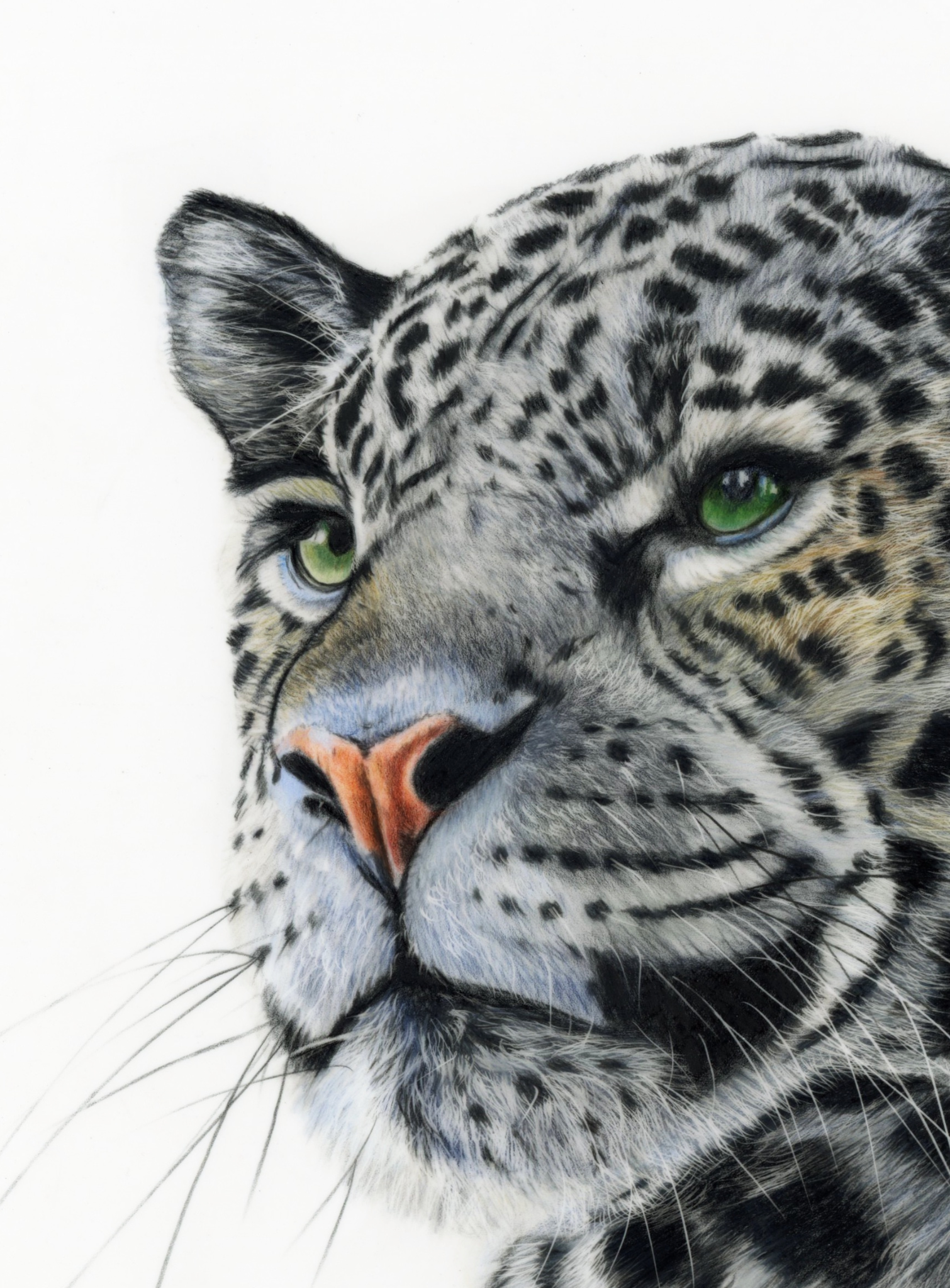 69164a62e1b8ea140711df10_jaguar-scanned-close-up_1768858926191.png