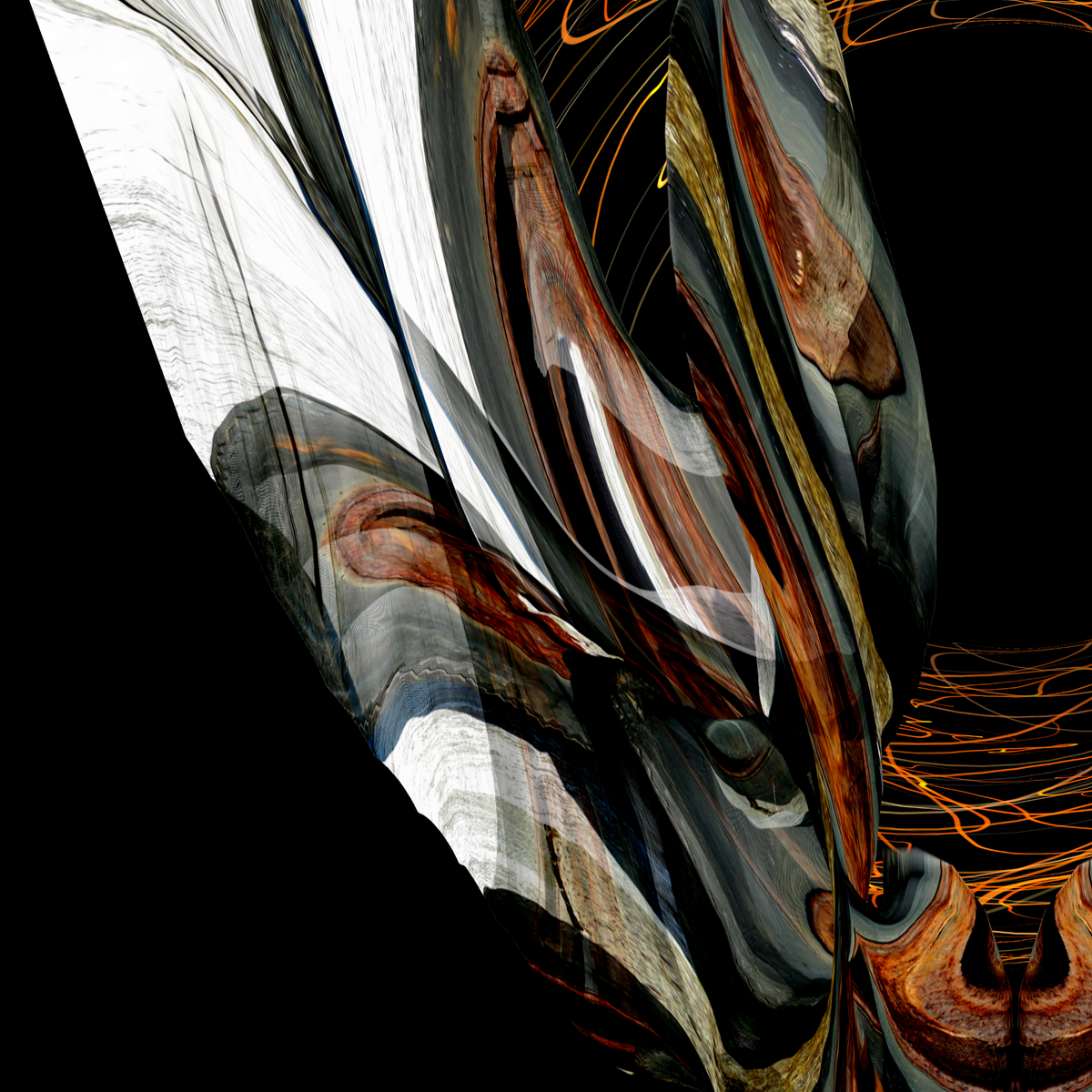 69164a62e1b8ea140711df10_kaitiaki-of-journeys-details_1790752594200.png