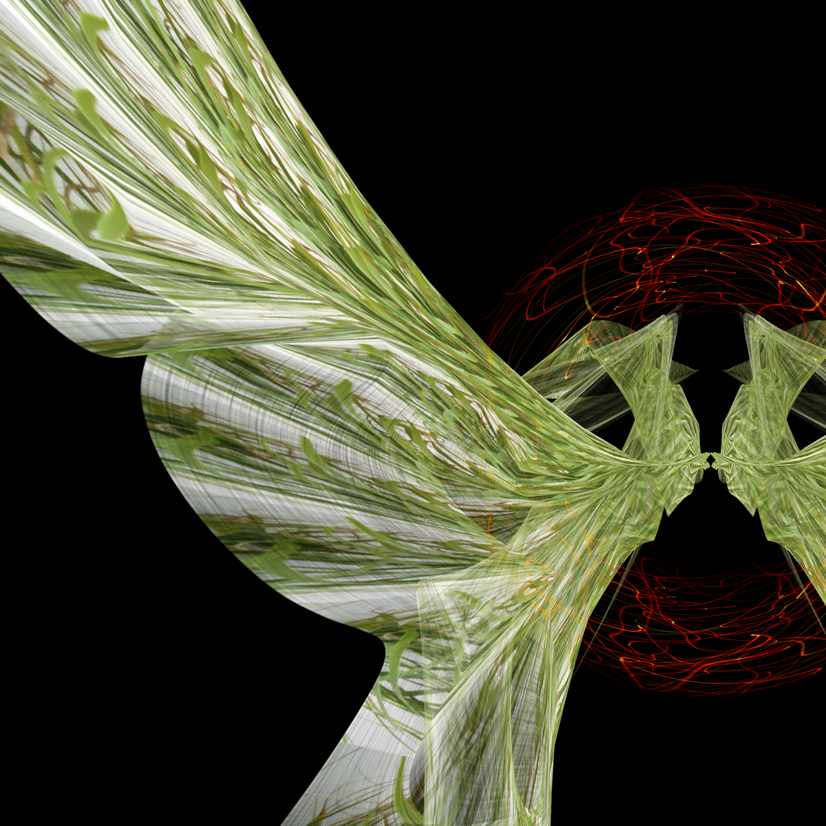 69164a62e1b8ea140711df10_kaitiaki-shedwing-abstract-close-up-detail_1788743447727.png