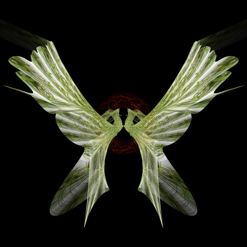 69164a62e1b8ea140711df10_kaitiaki-shedwing-abstract_1788743433837.png