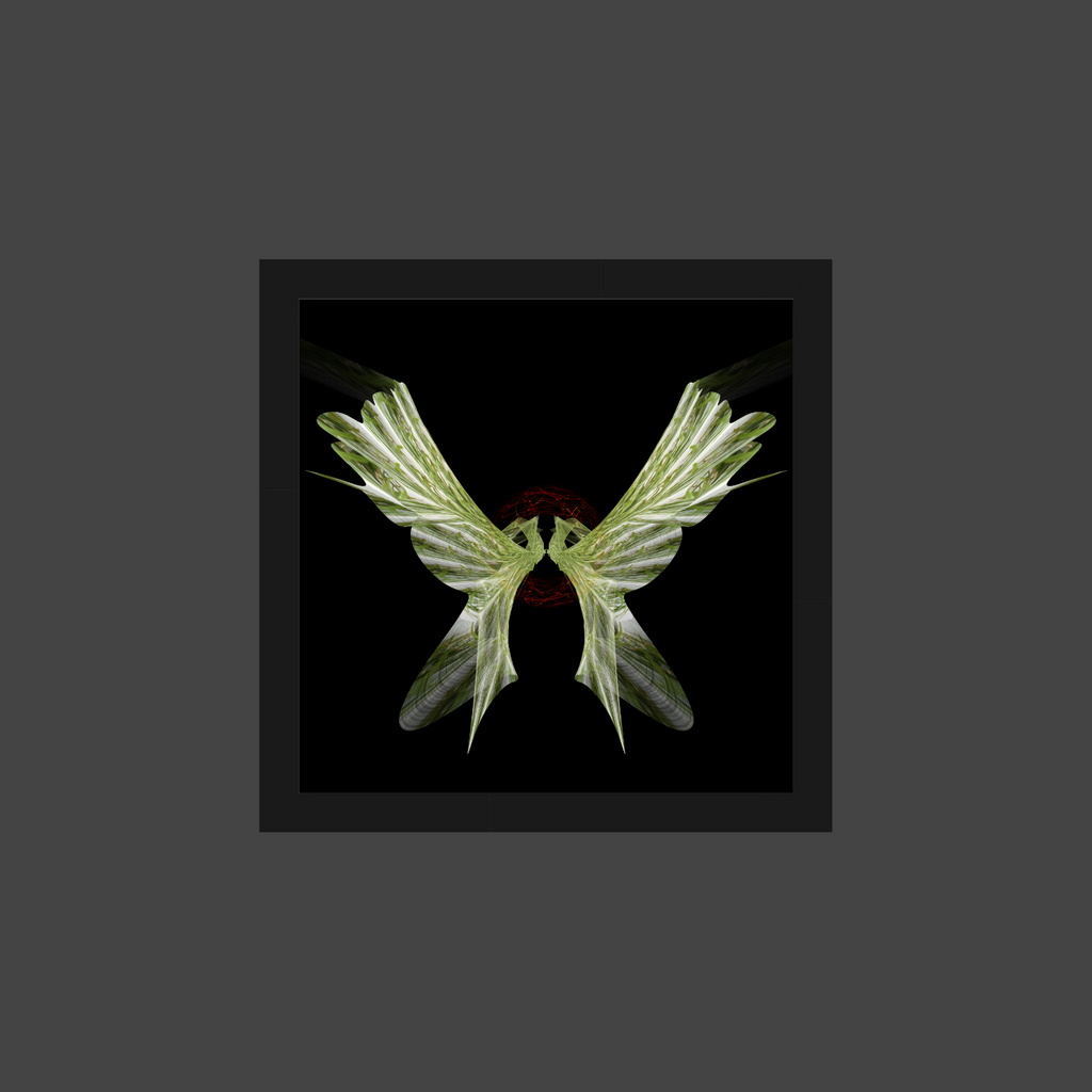 69164a62e1b8ea140711df10_kaitiaki-shedwing-framed-on-grey-background_1788743367467.png