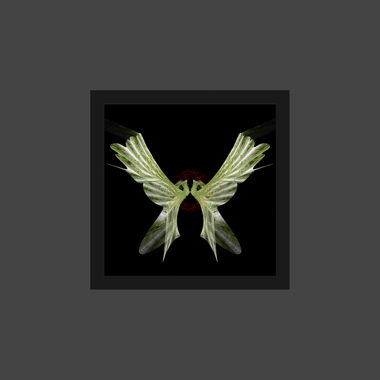 69164a62e1b8ea140711df10_kaitiaki-shedwing-framed-on-grey-background_1788743367467.png