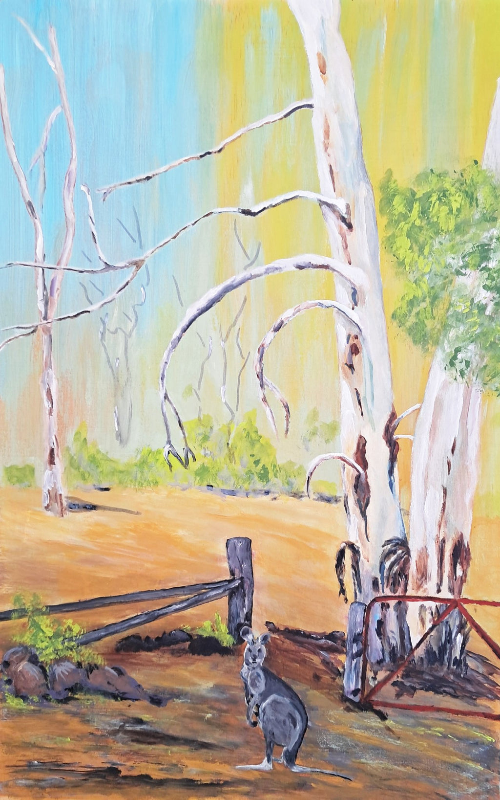 69164a62e1b8ea140711df10_kangaroo-white-gums_1780279178776.jpg