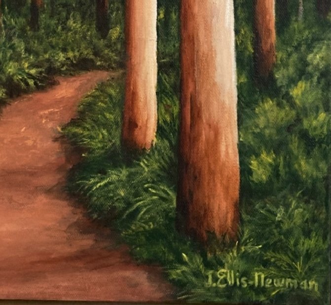69164a62e1b8ea140711df10_karri-forest-detail_1774763793607.jpg