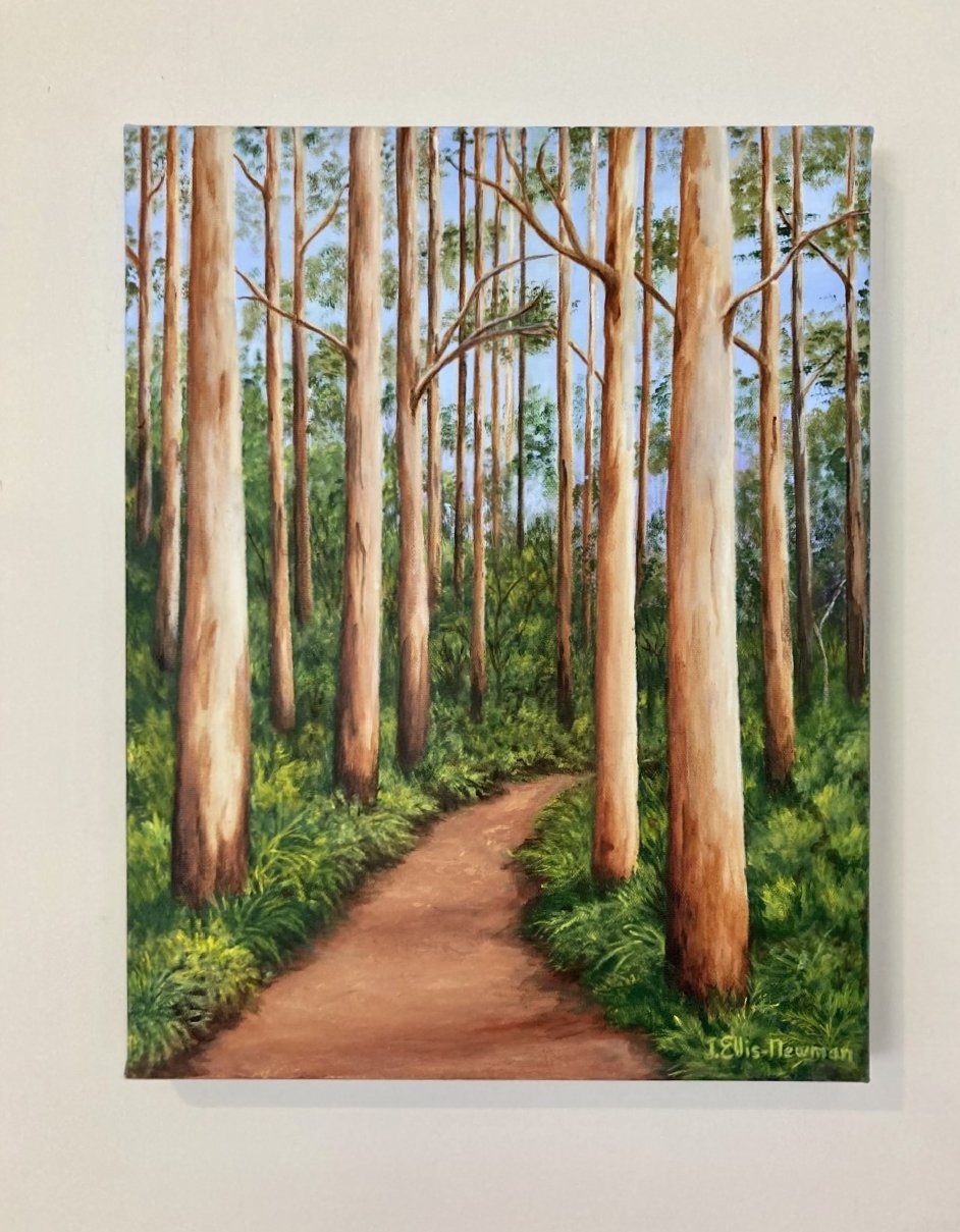 69164a62e1b8ea140711df10_karri-walk-trail_1774763793610.jpg