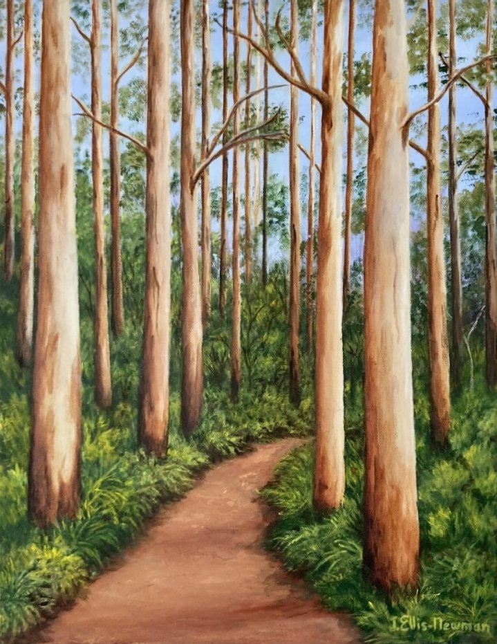 69164a62e1b8ea140711df10_karri-walk_1774764130756.jpg