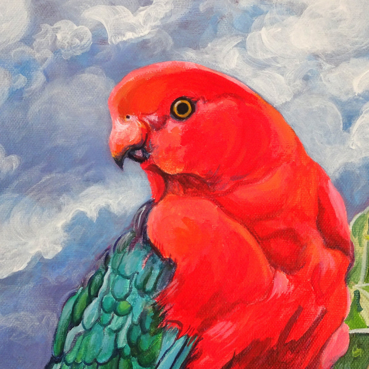69164a62e1b8ea140711df10_king-parrot-detail-head_1791597799456.jpg