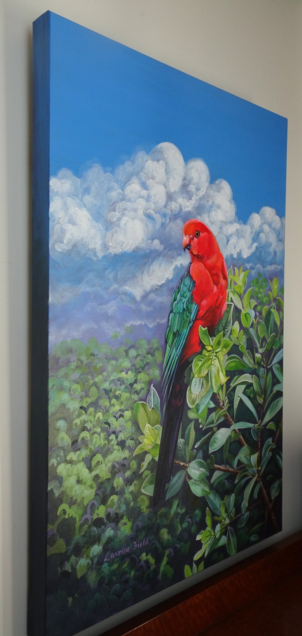 69164a62e1b8ea140711df10_king-parrot-edge_1791597810320.jpg