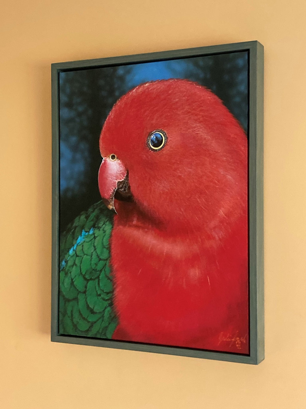 69164a62e1b8ea140711df10_king-parrot-frame_1785794104303.jpg