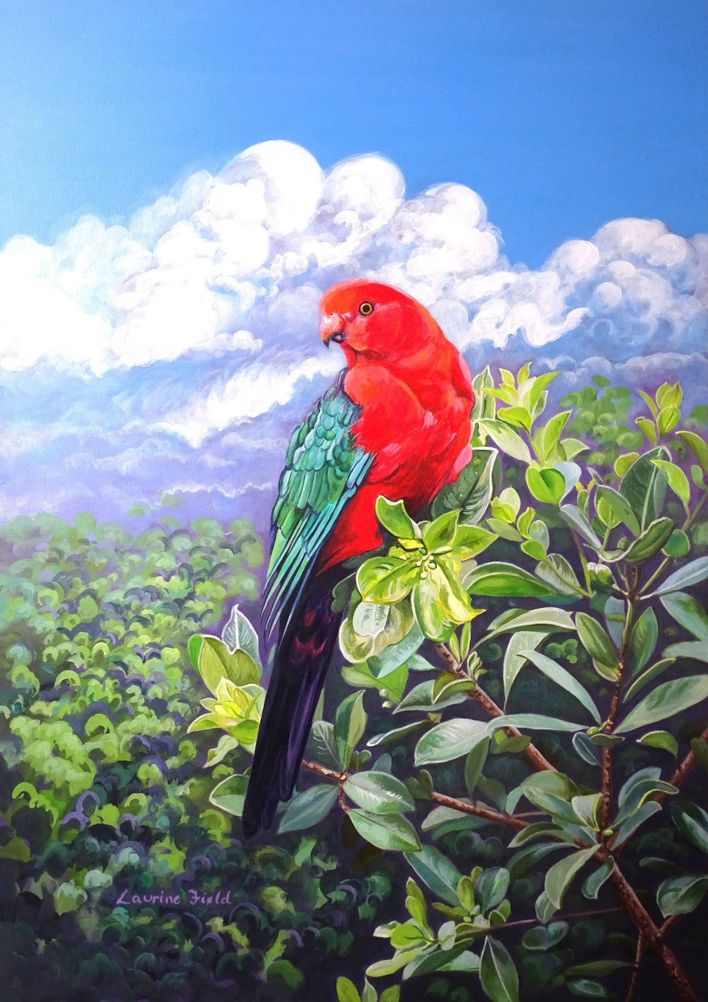 69164a62e1b8ea140711df10_king-parrot-full-image-2_1791597780465.jpg
