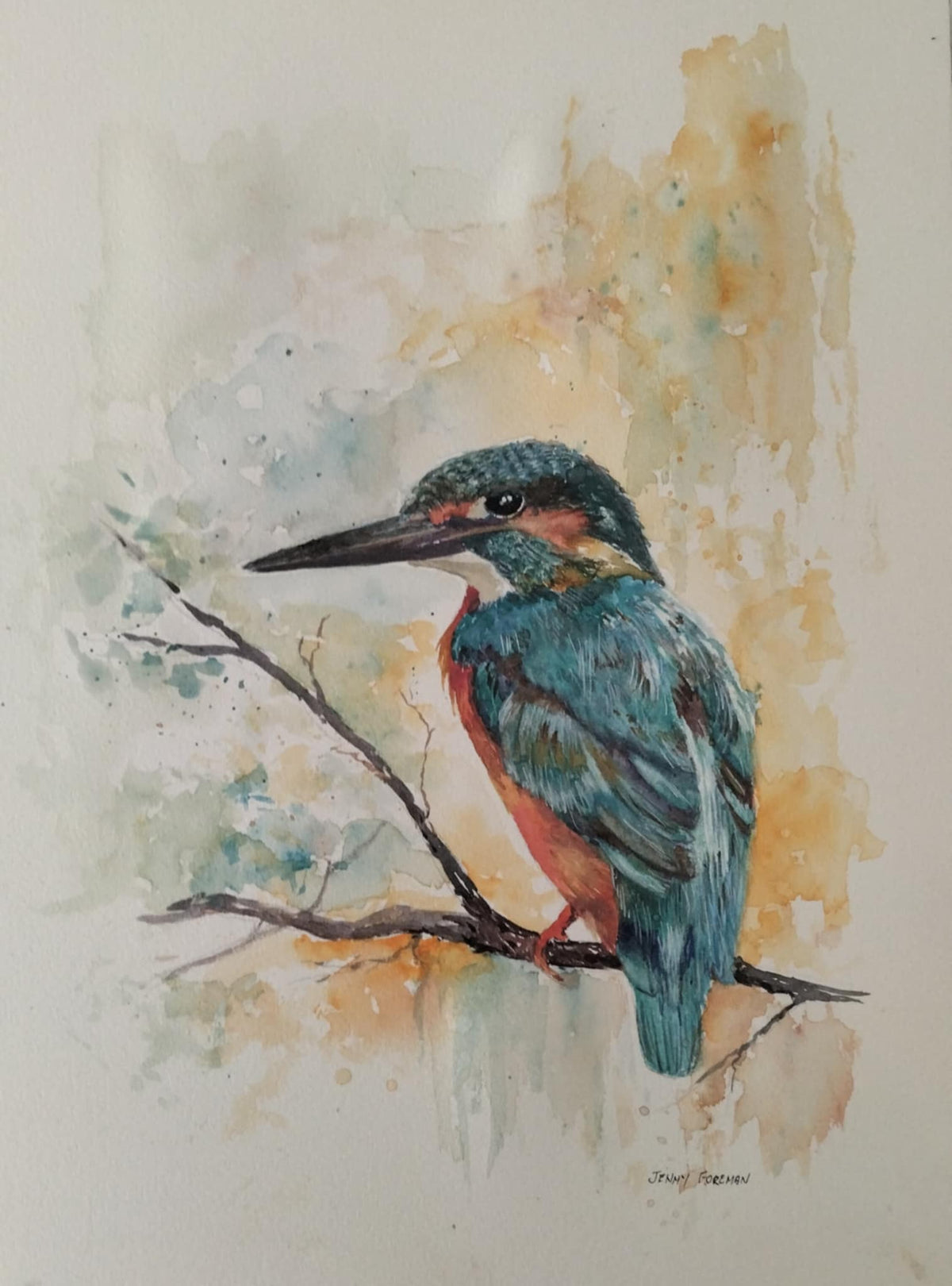 69164a62e1b8ea140711df10_kingfisher-hunting_1790229300831.jpeg