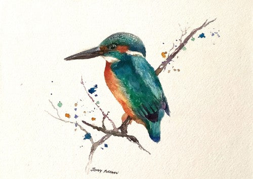 69164a62e1b8ea140711df10_kingfisher-waiting_1790137171146.jpg