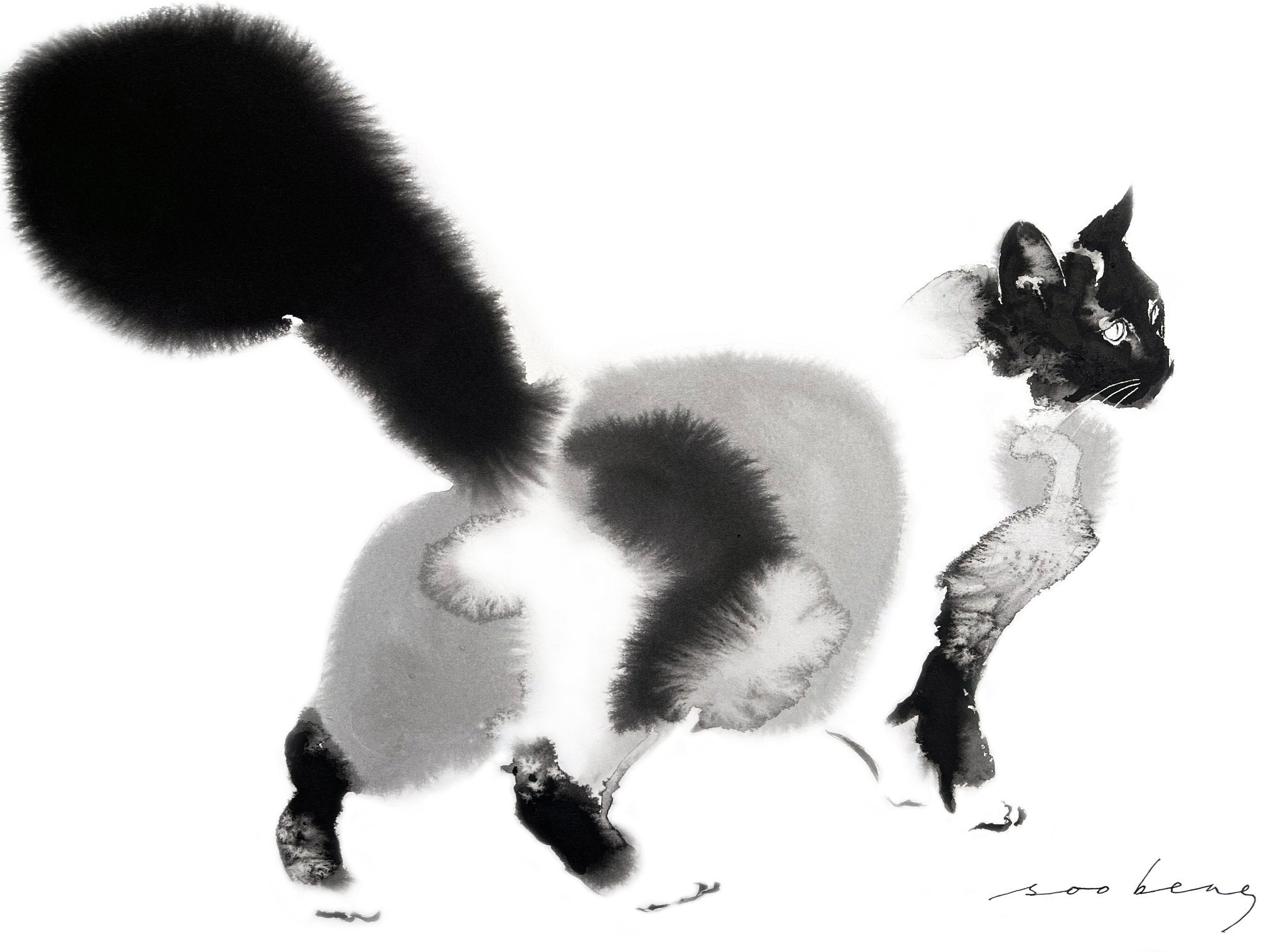69164a62e1b8ea140711df10_kitty-fluffstance_1773142003223.jpg