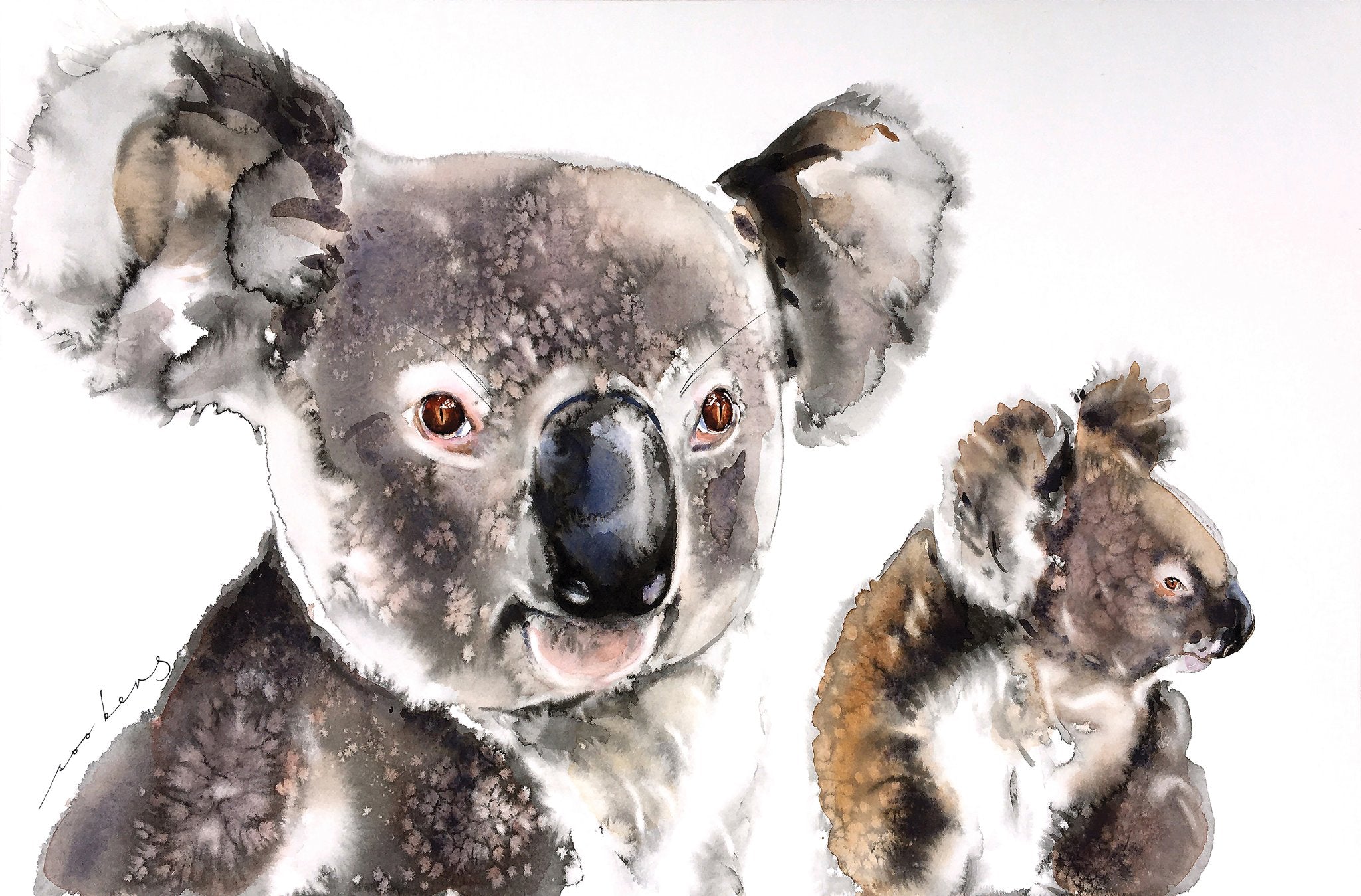 69164a62e1b8ea140711df10_koala-kinship_1773874613874.jpg