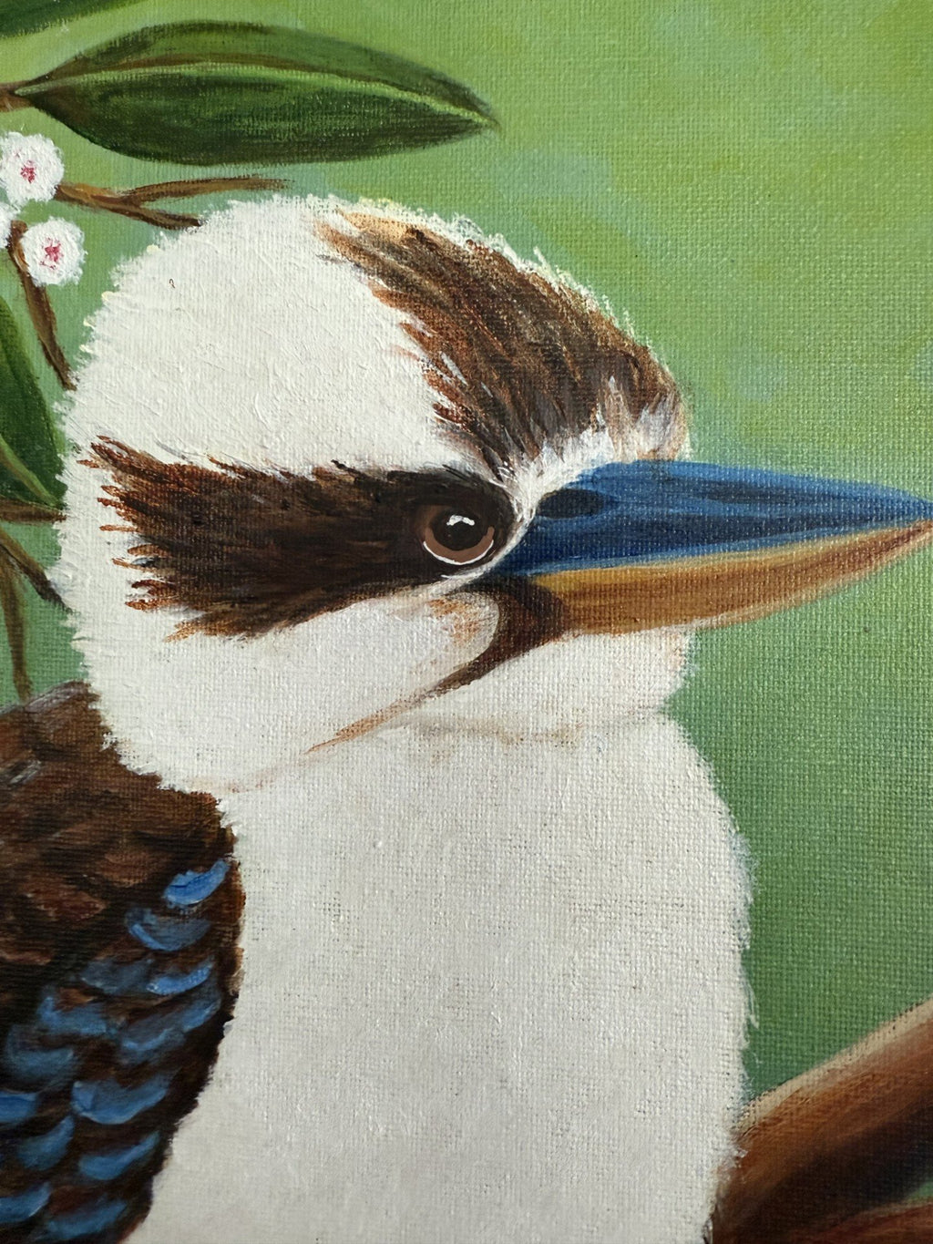 69164a62e1b8ea140711df10_kookaburra-white-detail_1772092683198.jpg