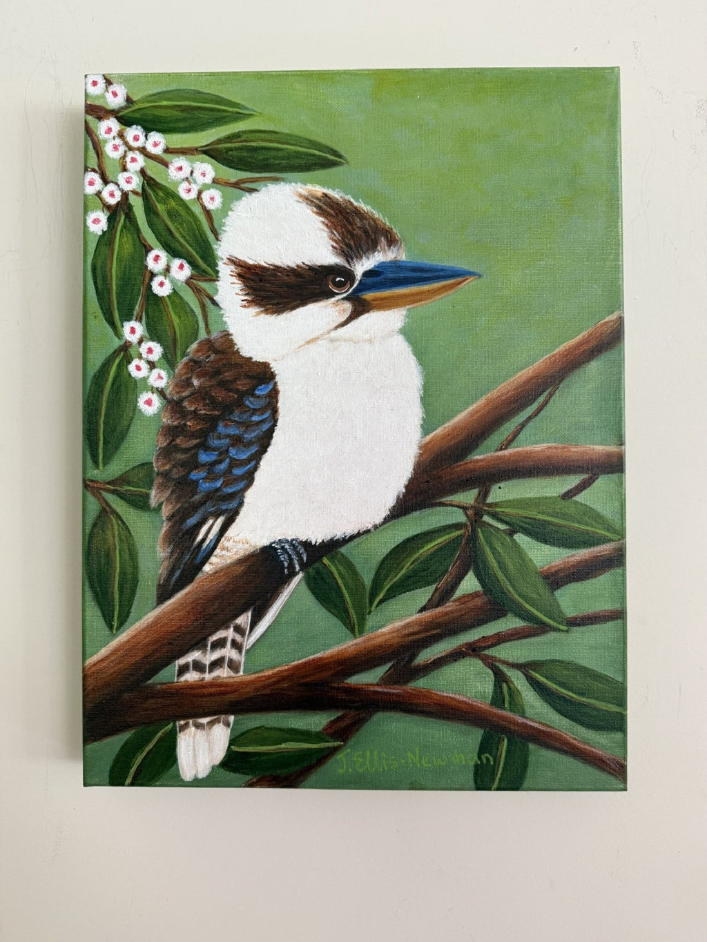 69164a62e1b8ea140711df10_kookaburra-white-flowers-hanging_1772092668807.jpg