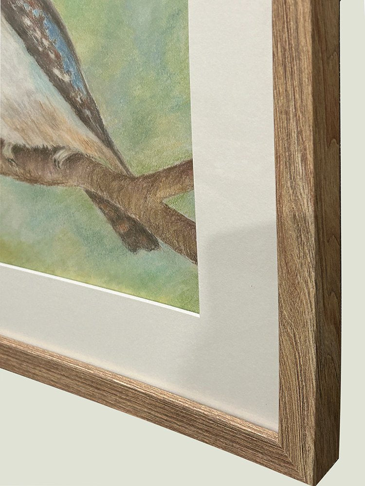 69164a62e1b8ea140711df10_kookaburras-edge_1787813736581.jpg
