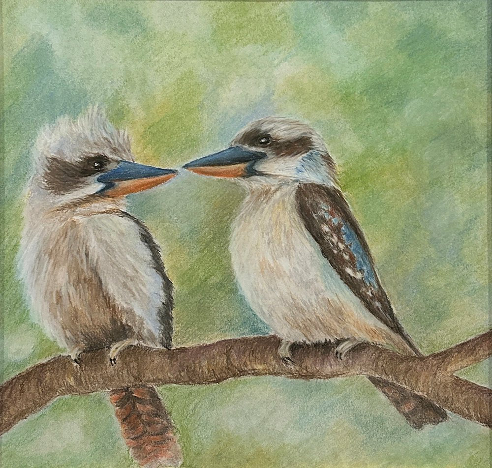 69164a62e1b8ea140711df10_kookaburras_1787813725188.jpg