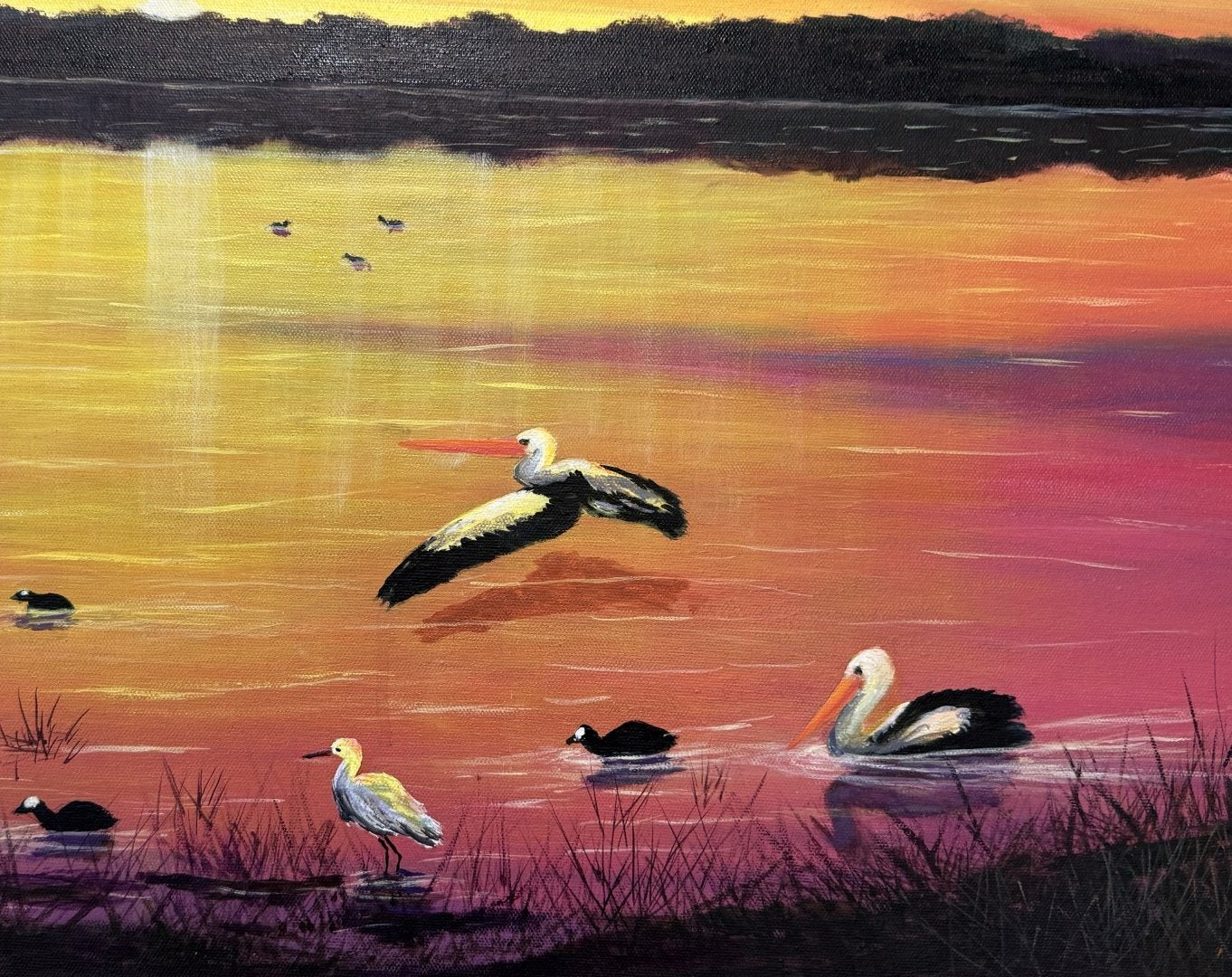 69164a62e1b8ea140711df10_lake-goollelal-cropped_1778203101781.jpg