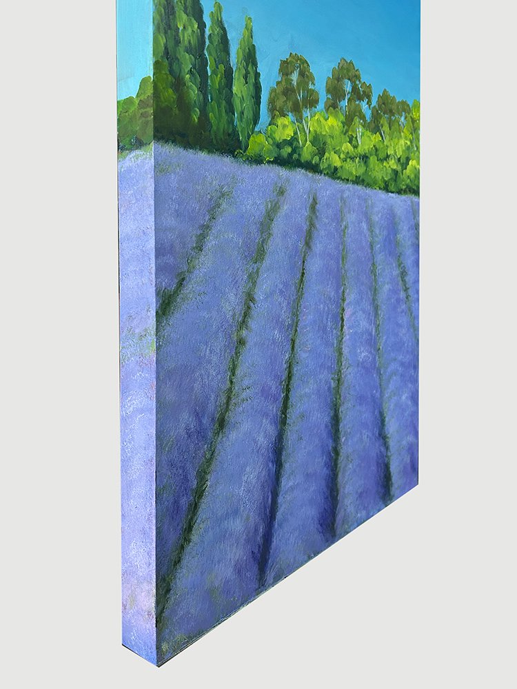 69164a62e1b8ea140711df10_lavandula-2-edge_1776140446039.jpg