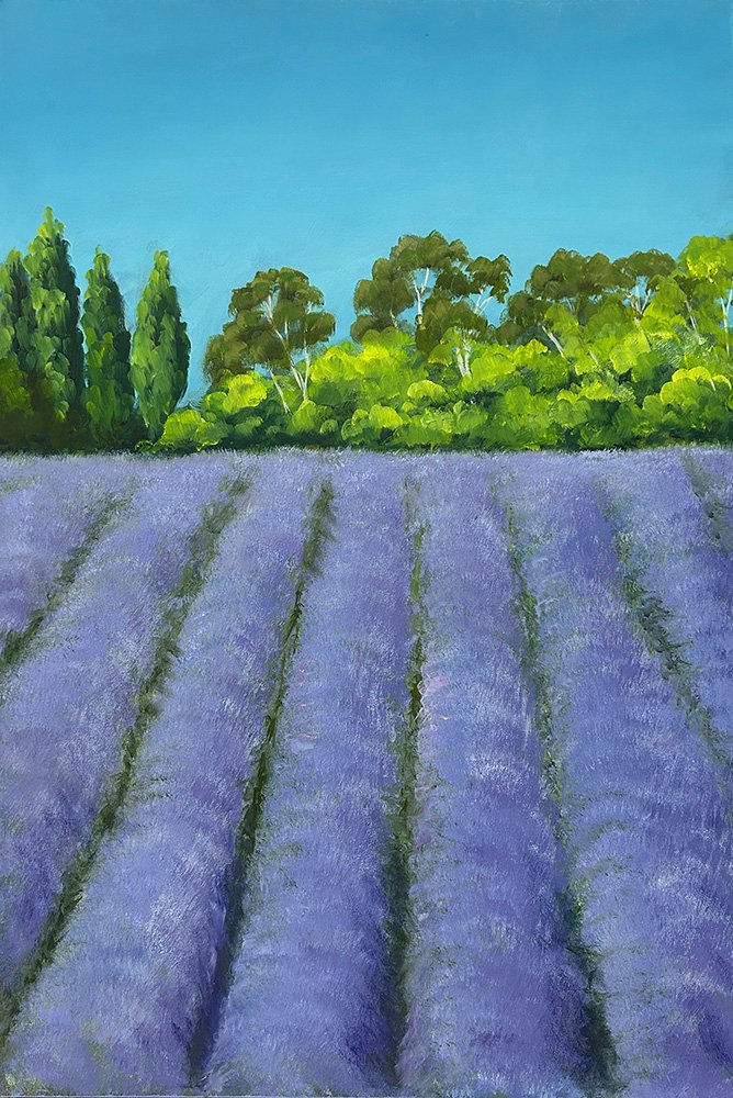 69164a62e1b8ea140711df10_lavandula-2_1776140434936.jpg